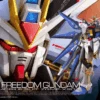 Bandai 1/144 RG ZGMF-X20A Strike Freedom Gundam Ca.14cm Groß